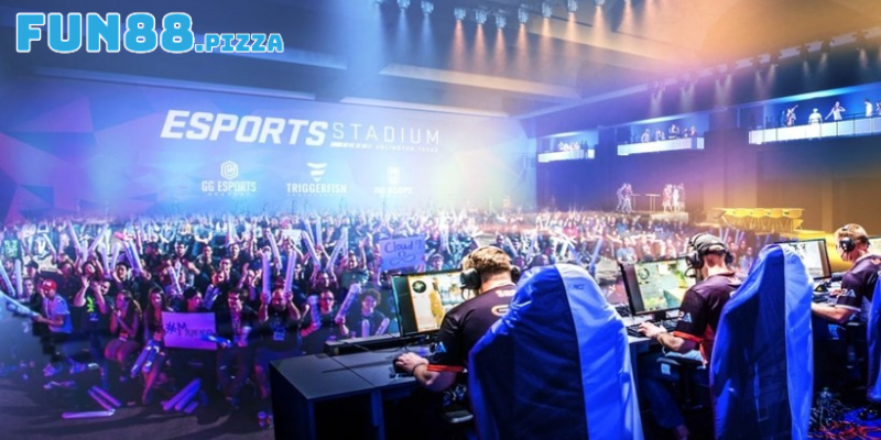 Trải Nghiệm Esports Là Gì Và Giải Đáp Các Câu Hỏi Thường Gặp